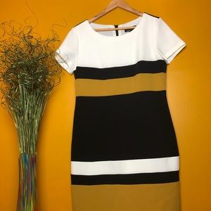 A Line Career Dress- Petite